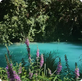 Hiked through Tuscany, Italy, photo 1